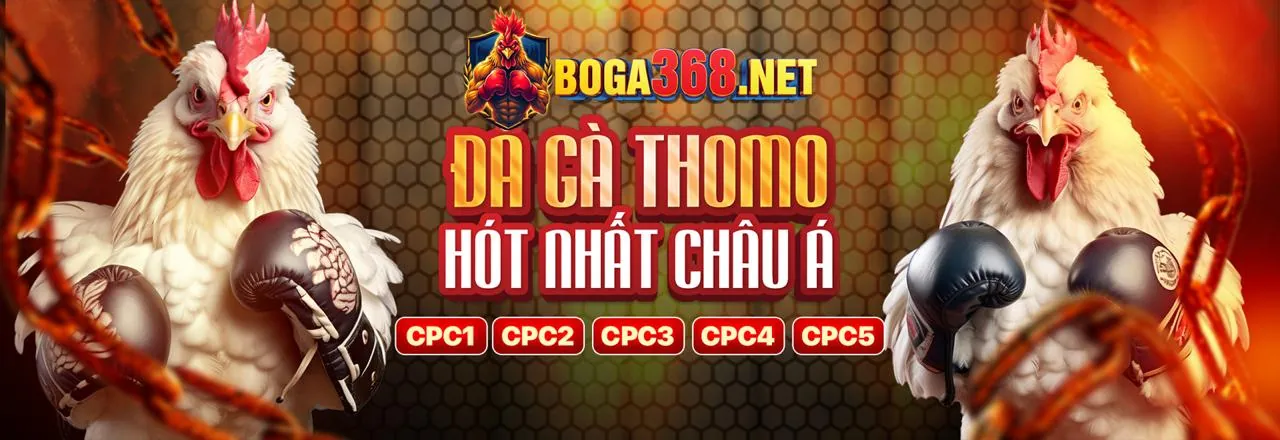 Sân chơi đá gà trực tuyến 789win vip